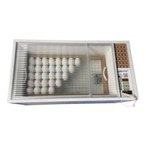Инкубатор для яиц Блиц «НОРМА 72 Луппер» С8 (цифровой, 12/220в) - фото2