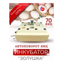 Инкубатор для яиц "Золушка-2020" 70 яиц ( Цифровой, автомат, гигрометр, питание 220в) - фото2