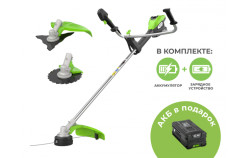 Триммер аккумуляторный Greenworks TB201H 2112407COMBO (АКБ 5А/ч*2) - фото